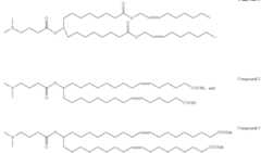 Figure imgf000088_0002