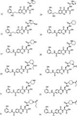 Figure A0182179700221