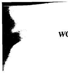 Figure imgf000006_0001