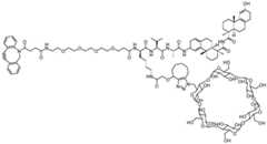 Figure BDA0002889616220002981