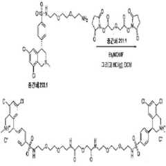 Figure 112011059052603-pct00380