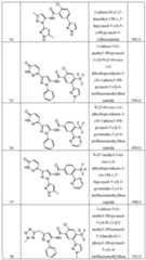 Figure imgf000025_0001