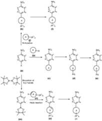 Figure imgf000058_0001