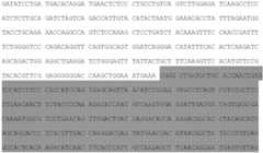 Figure BDA0001740465650000262