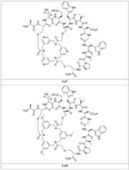 Figure 2024156841000360