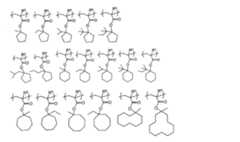 Figure 0007394591000031