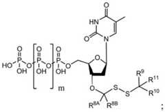 Figure BDA0003670511740003402