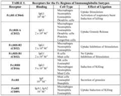 Figure imgf000008_0001