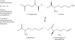 Figure US08192976-20120605-C00032