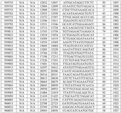 Figure BDA0002976854330001541