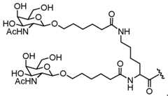 Figure imgf000173_0001