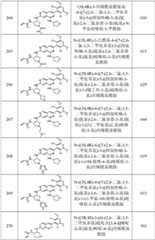 Figure GPA0000263212130001791