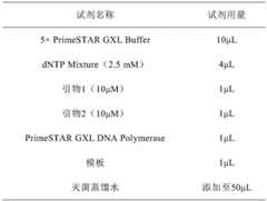 Figure BDA0003195784050000091