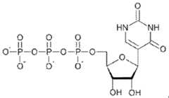 Figure imgf000164_0004