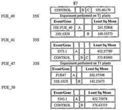 Figure imgf000088_0001