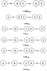 Figure BDA0003027048450002571