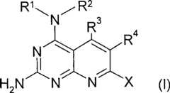 Figure S2006800298090C00011