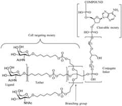 Figure imgf000113_0001