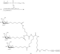 Figure US09181550-20151110-C00300