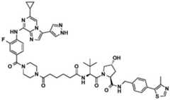 Figure BDA0002964098100001641