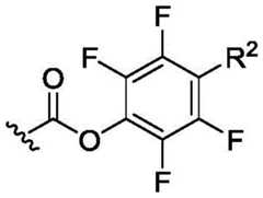 Figure BDA0003018192690002611