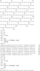 Figure IDA0003164346520000421