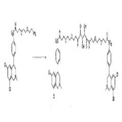 Figure 112011059052603-pct00389