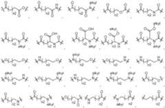 Figure imgf000148_0002