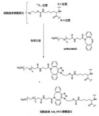 Figure 109130857-A0202-12-0258-317