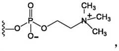Figure FDA0003687503840000062
