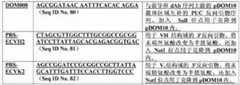 Figure 14584DEST_PATH_IMAGE004