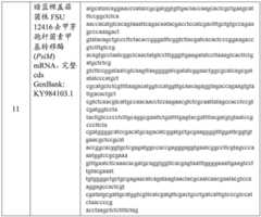 Figure BDA0003676072500000331