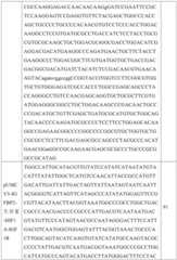 Figure GDA0002731146240002291