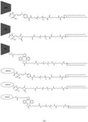 Figure imgf000214_0001