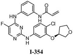 Figure BDA0001453135130003414