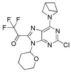 Figure BDA0001402557760001611