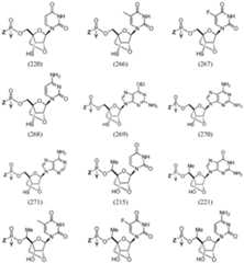Figure imgf000173_0002