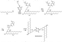 Figure imgf000078_0001