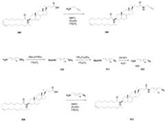 Figure imgf000154_0001