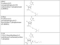 Figure imgf000023_0001