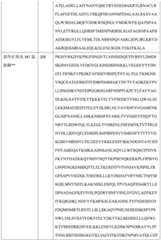 Figure BDA0004113681710000801