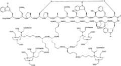 Figure G2007800458747D00962