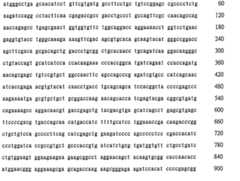 Figure 106137461-A0202-12-0240-76