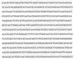 Figure 104109152-A0202-12-0092-28