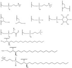 Figure imgf000033_0001