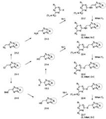 Figure JPOXMLDOC01-appb-C000149