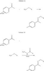 Figure US07888533-20110215-C00043