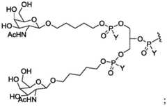 Figure BDA0003018192690002381