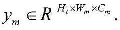 Figure BDA0003068723580000096