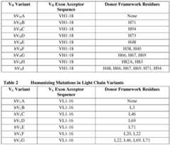 Figure imgf000050_0001